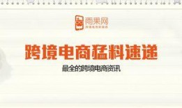 跨境电商最新爆料,揭秘最新爆料背后的行业变革